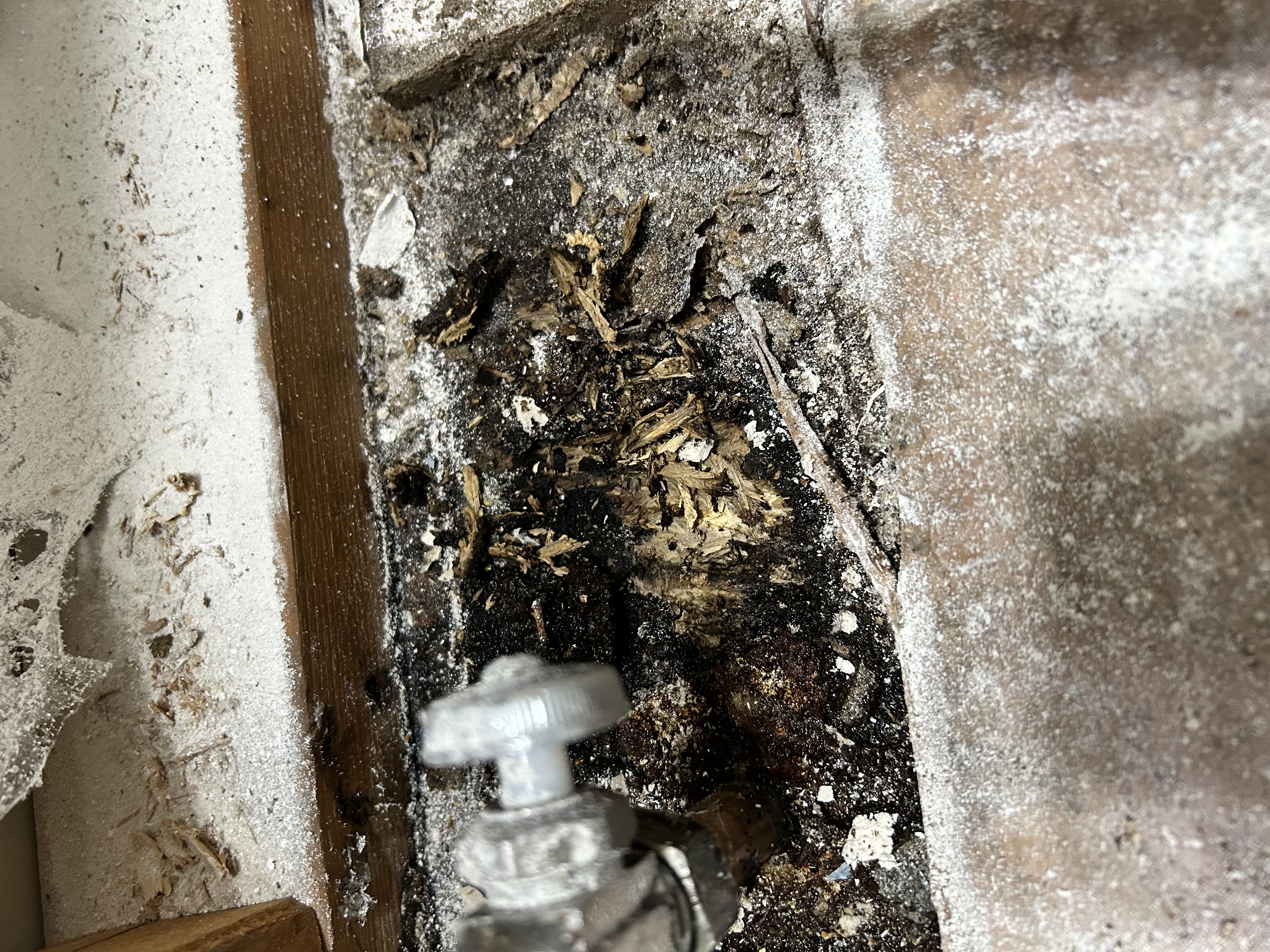 Bathroom remodel – shut-off valves and subfloor rot